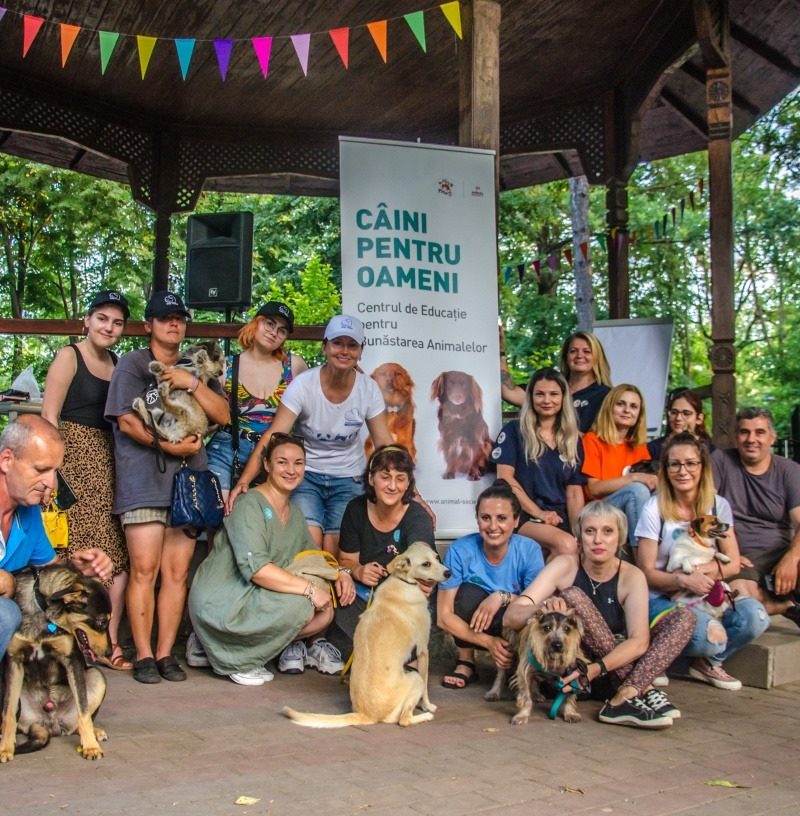 Animal society